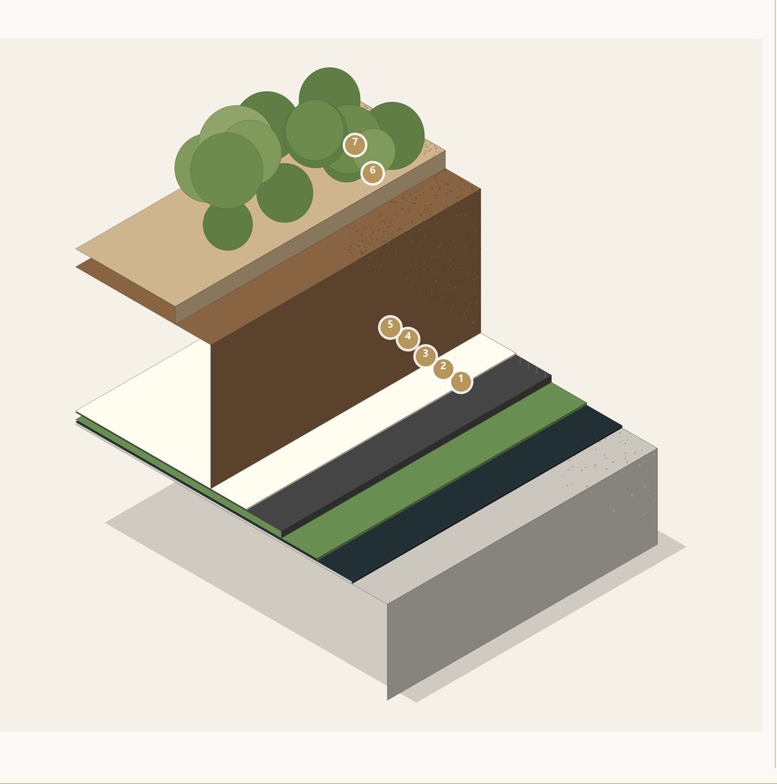 Detail – planting over the podium